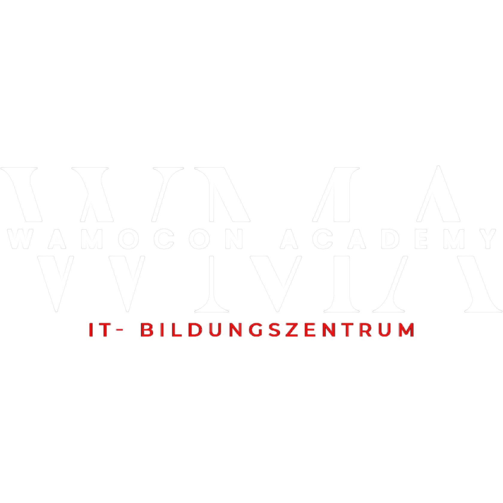 WAMOCON Academy